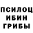 Галлюциногенные грибы Psilocybine cubensis Neoniel Abarra
