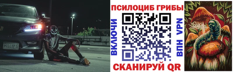 Купить  Бобров  Псилоцибиновые грибы мухоморы 